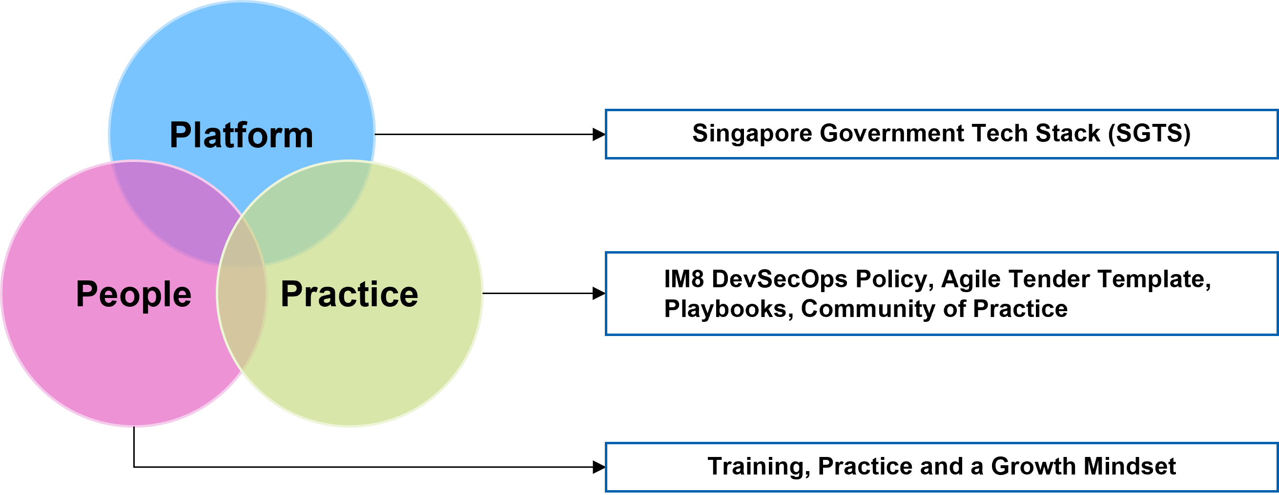 Fig 1: Three-prong approach: People, Platform and Practice